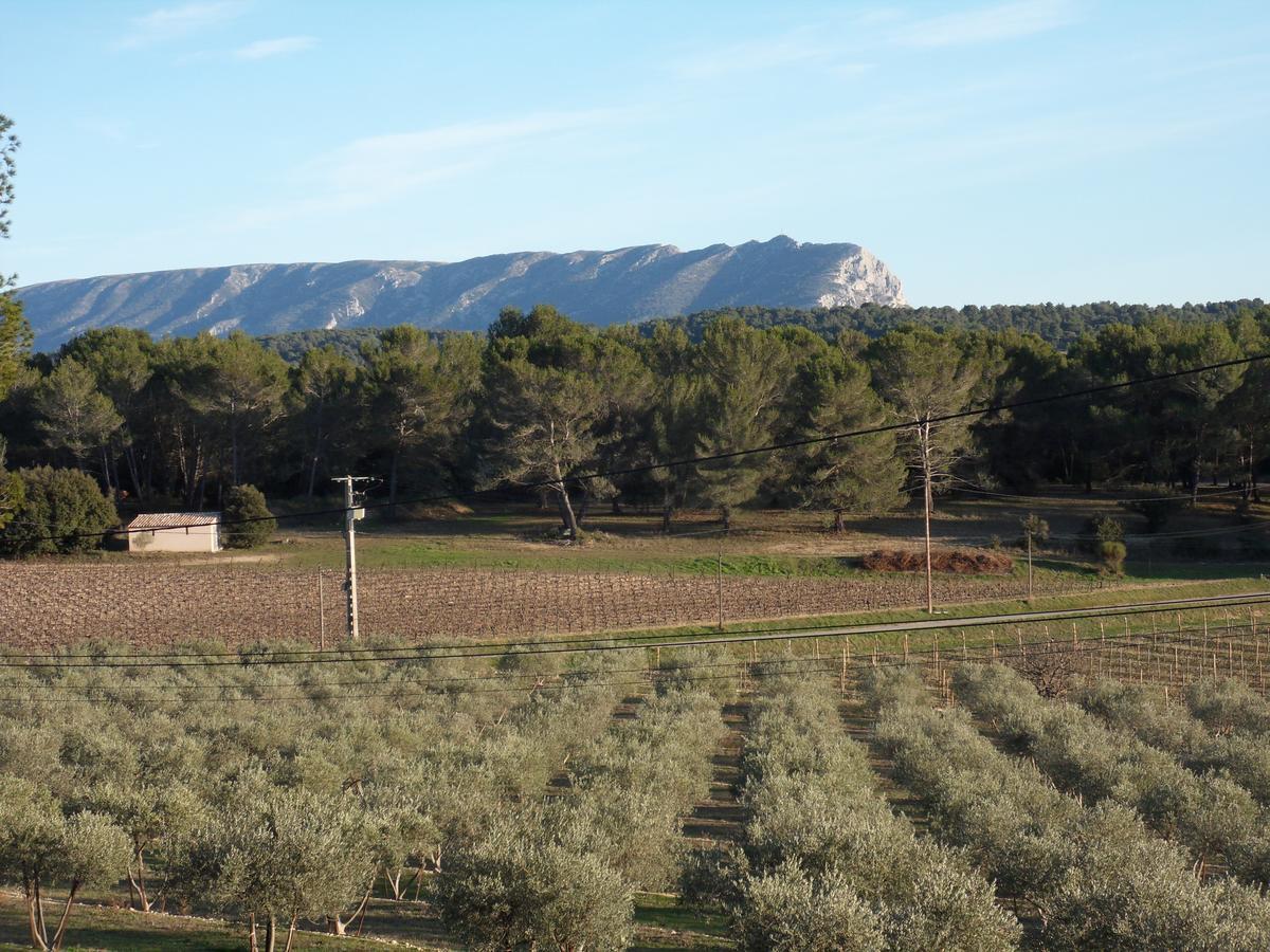 Domaine De L'Olibaou Bed & Breakfast Venelles Eksteriør bilde